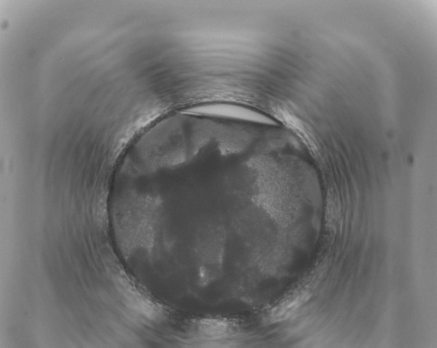 X0000088590394200706011143