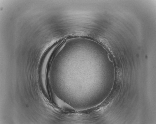 X0000088590395200706011143