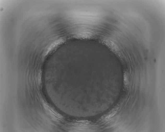 X0000088590396200706011143