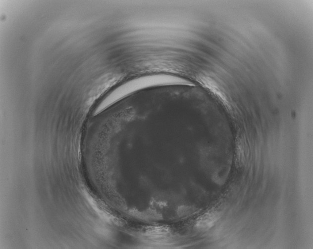 X0000088590398200706011143