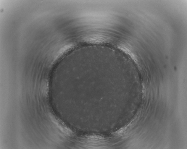 X0000088590400200706011143