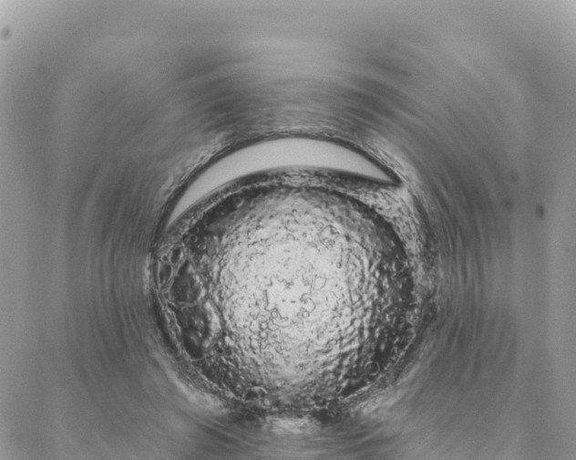 X0000088590401200706011143