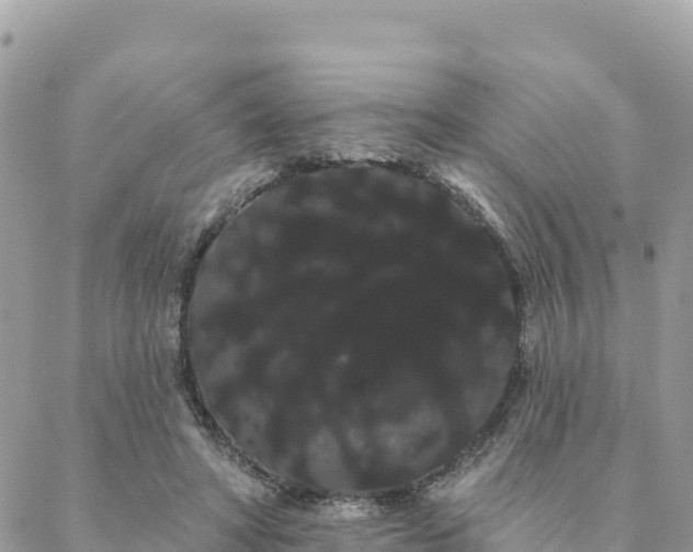 X0000088590402200706011143