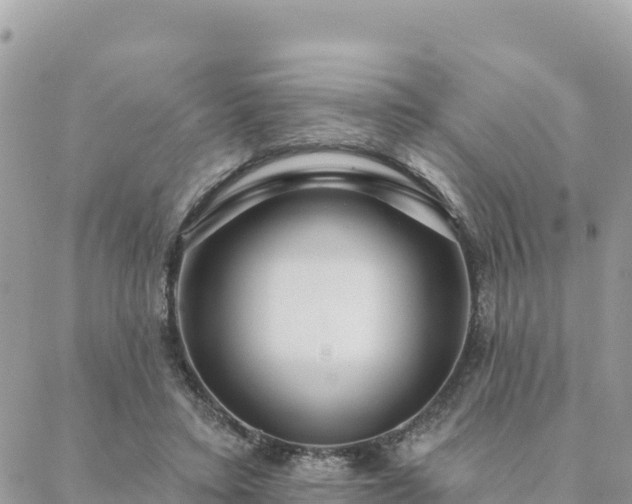 X0000088590403200706011143