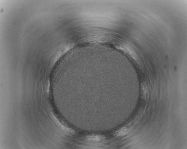 X0000088590404200706011143