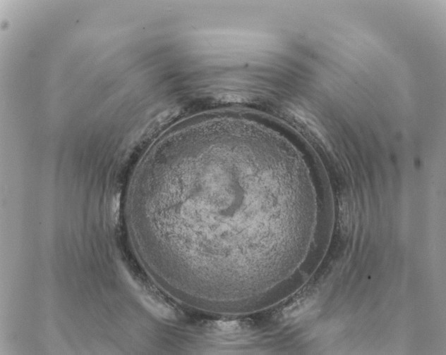 X0000088590406200706011143