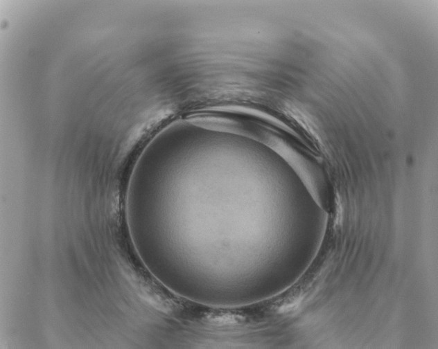 X0000088590407200706011143