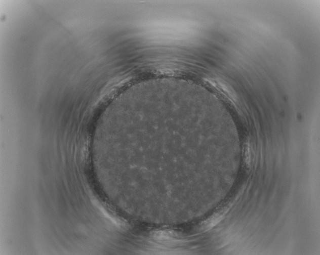 X0000088590408200706011143