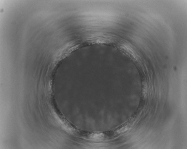 X0000088590410200706011143