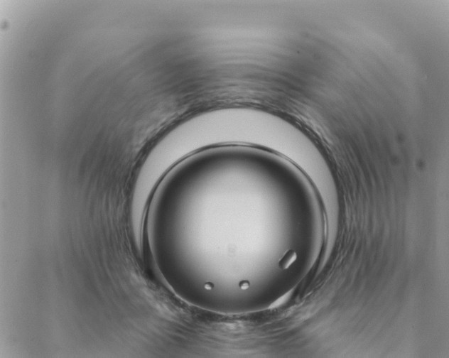 X0000088590411200706011142