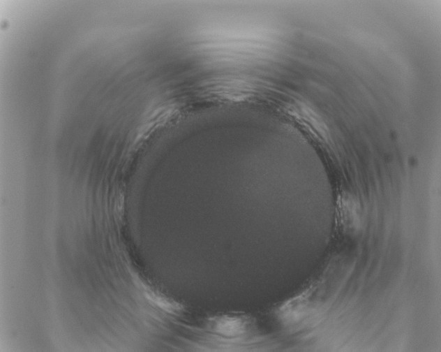 X0000088590412200706011142