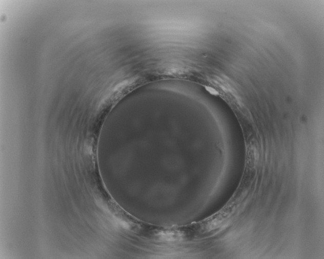 X0000088590415200706011142