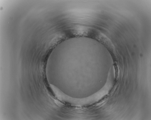 X0000088590416200706011142