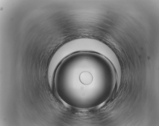 X0000088590417200706011142