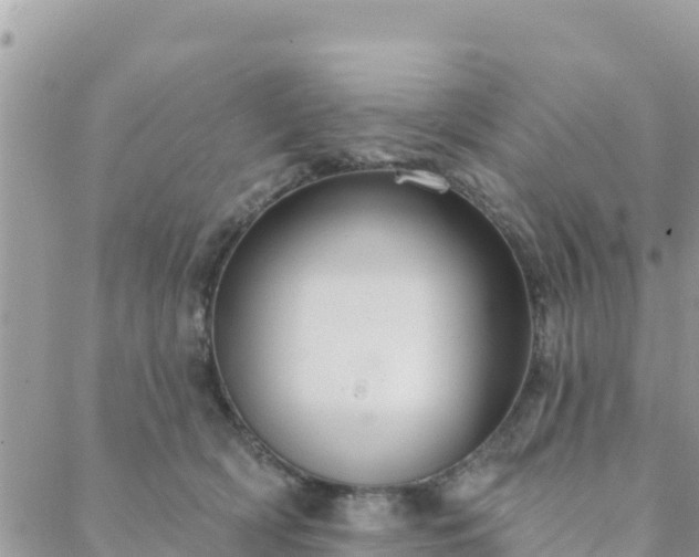 X0000088590418200706011142