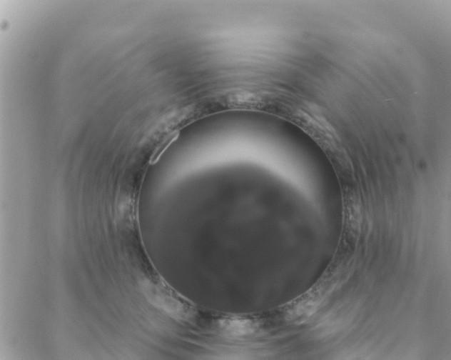 X0000088590419200706011142