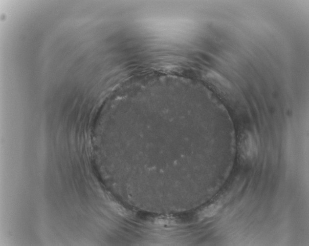 X0000088590420200706011142