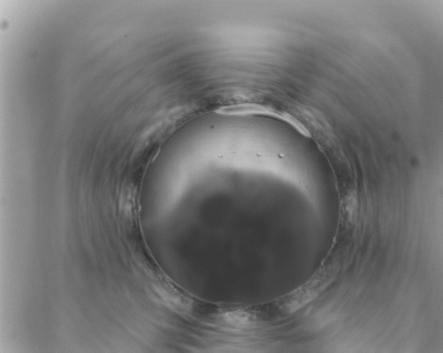 X0000088590423200706011142