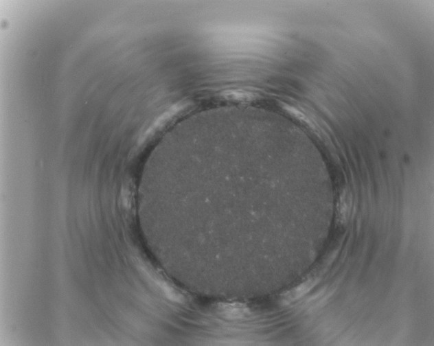 X0000088590424200706011142