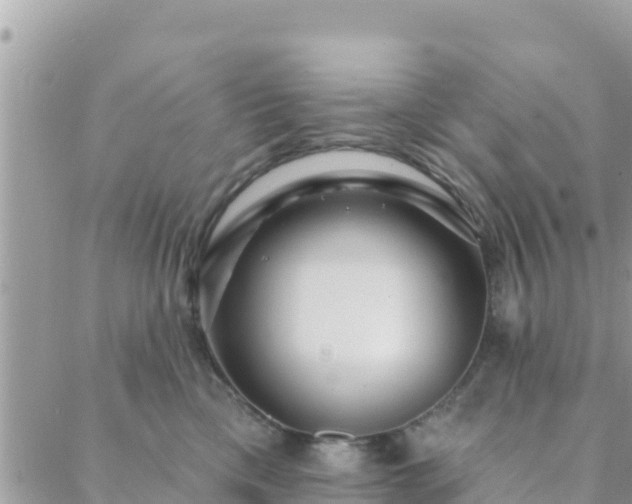 X0000088590425200706011142