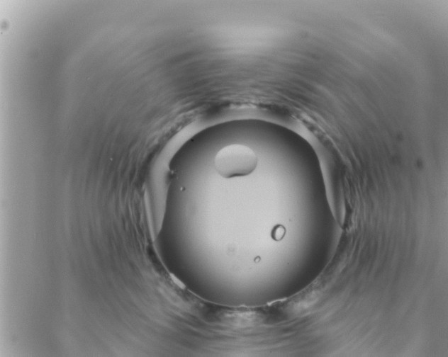 X0000088590428200706011142