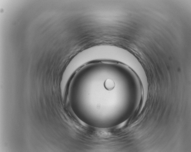 X0000088590429200706011142