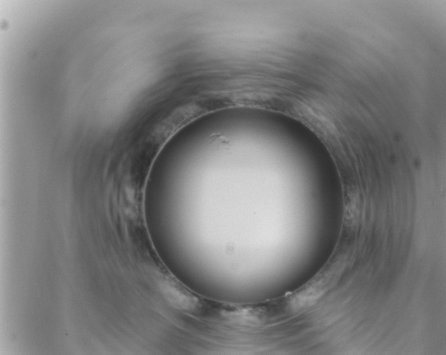 X0000088590430200706011142