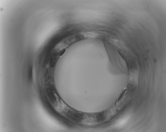 X0000088590431200706011142