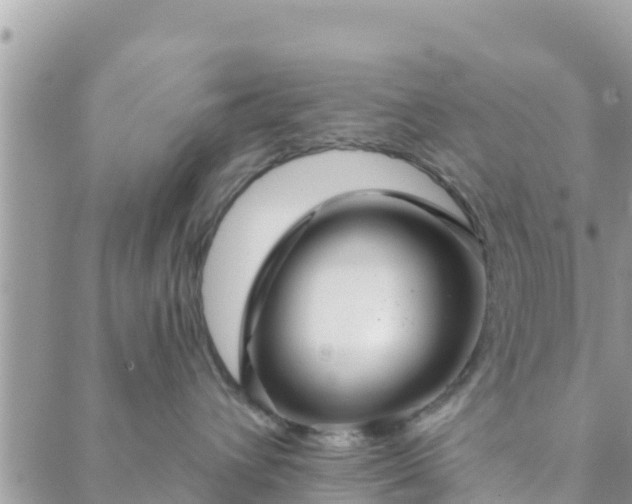 X0000088590432200706011142