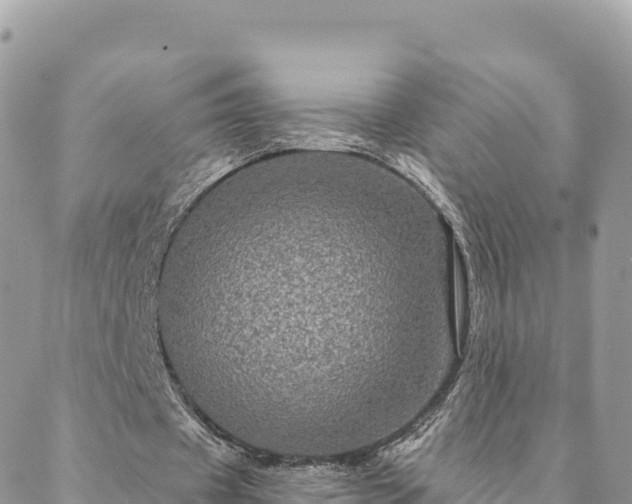 X0000088590433200706011141