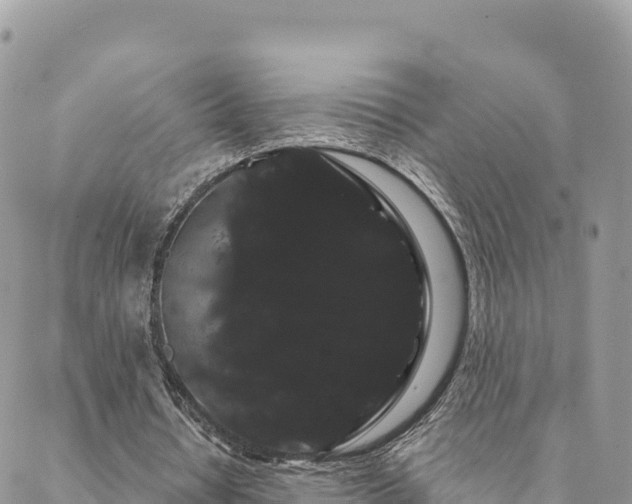 X0000088590434200706011141