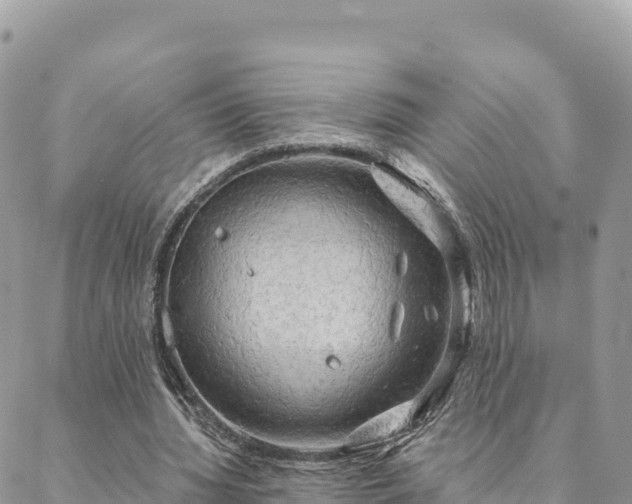 X0000088590436200706011141