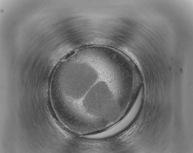 X0000088590437200706011141