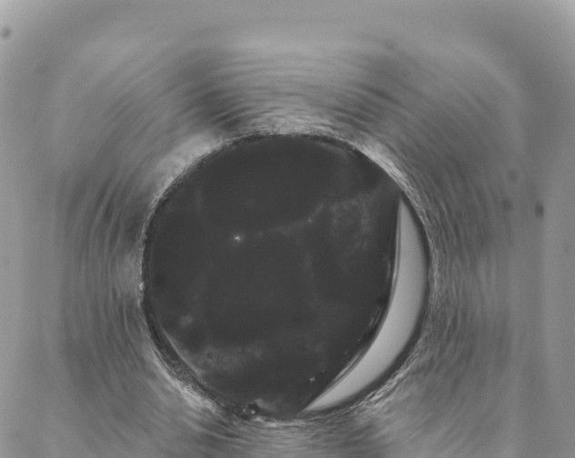 X0000088590438200706011141