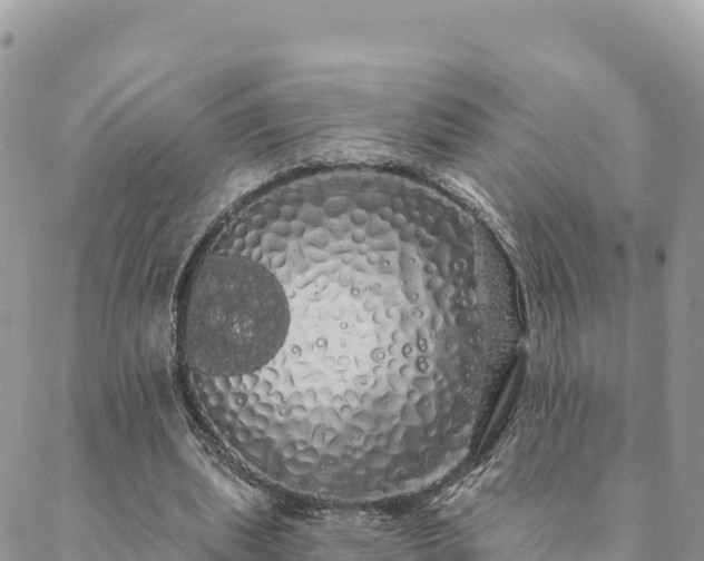 X0000088590439200706011141