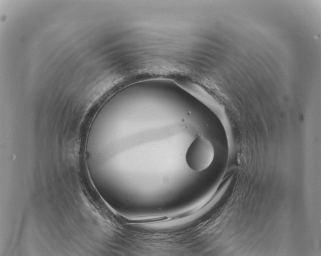 X0000088590440200706011141