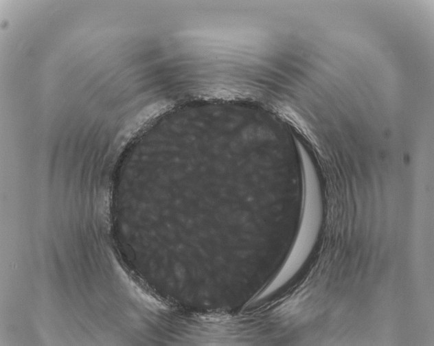 X0000088590444200706011142