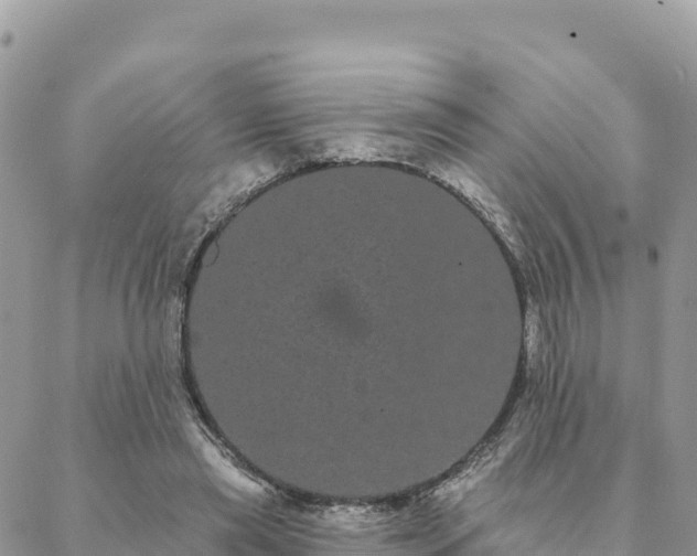 X0000088590445200706011142