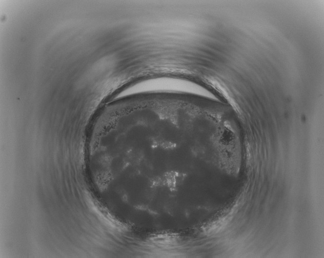 X0000088590447200706011142