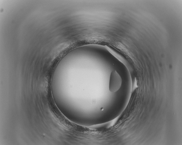 X0000088590448200706011142