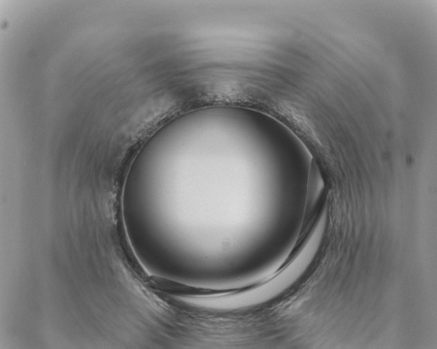 X0000088590450200706011142