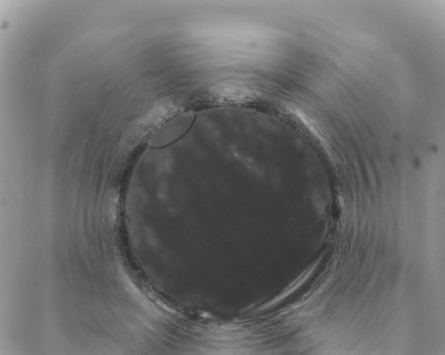 X0000088590451200706011142