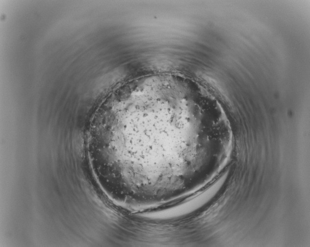 X0000088590453200706011142