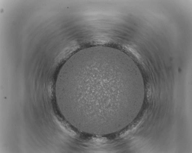 X0000088590455200706011142