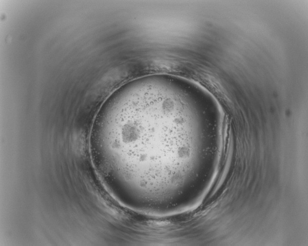 X0000088590457200706011142