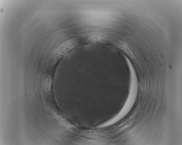 X0000088590458200706011142