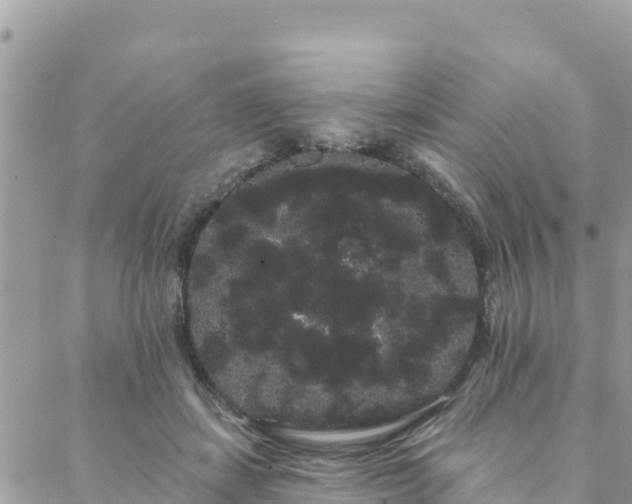 X0000088590459200706011142