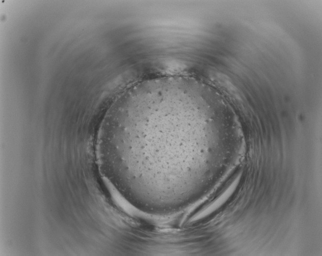 X0000088590461200706011142