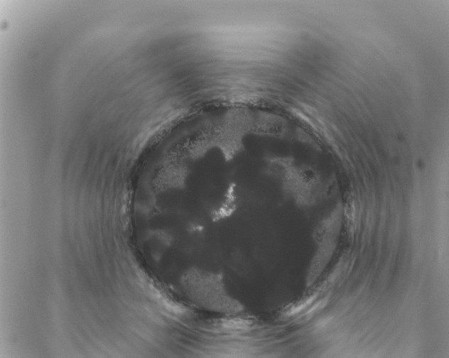 X0000088590462200706011142