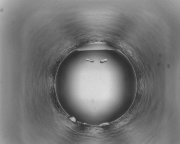 X0000088590463200706011142